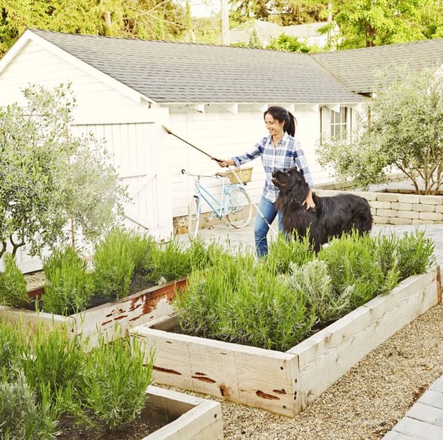 85 Best Backyard Ideas - Easy DIY Backyard Design Ti