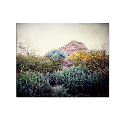 Amazon.com: Desert Wall Art Cactus Nature Picture for your Bedroom .