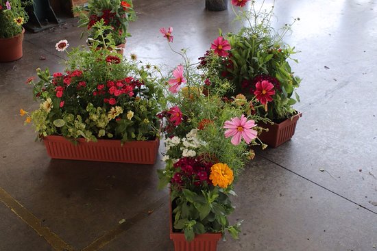 Beautiful flower pots! - Picture of Central New York Regional .