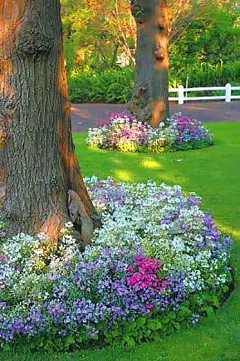 22 Beautiful Flower Beds Around Trees | Landscaping around trees .