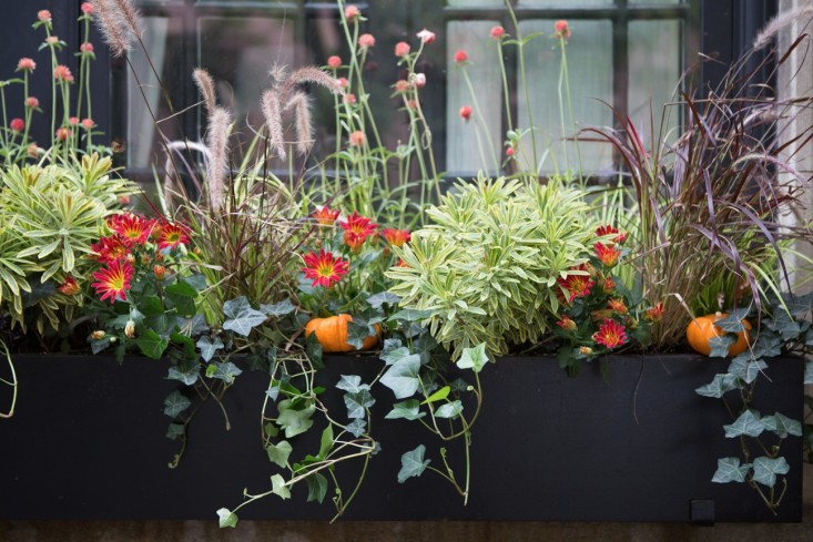 Hardscaping 101: Best Styles and Materials for Window Boxes .