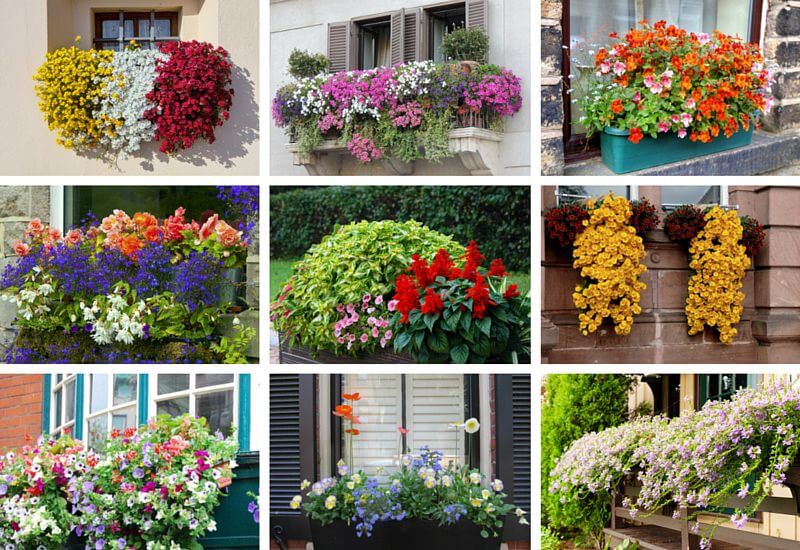 40 Window and Balcony Flower Box Ideas (PHOTOS) - Home Stratosphe