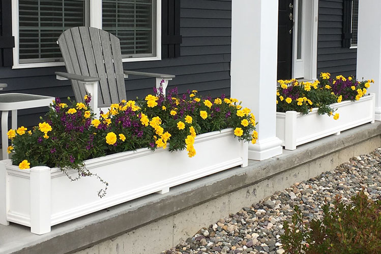 6 Steps to Choosing the Best Window Boxes and Plante