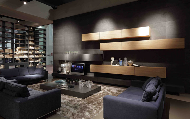 Contemporary Living Room Design Ide