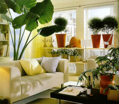 Decorating with Indoor Plants to Improve Air Quality | House .