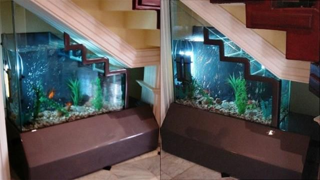 Under stair aquarium idea | Home stairs design, Stairs design .