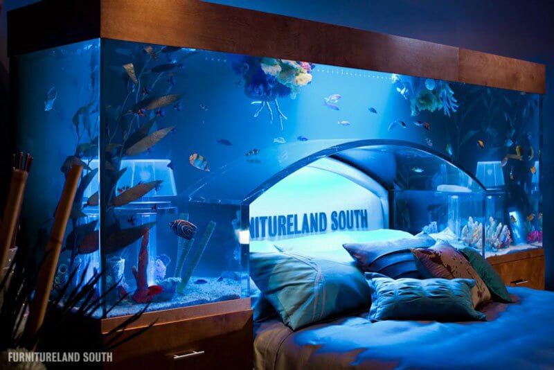 Headboard Home Aquarium Ideas - RyanScott2