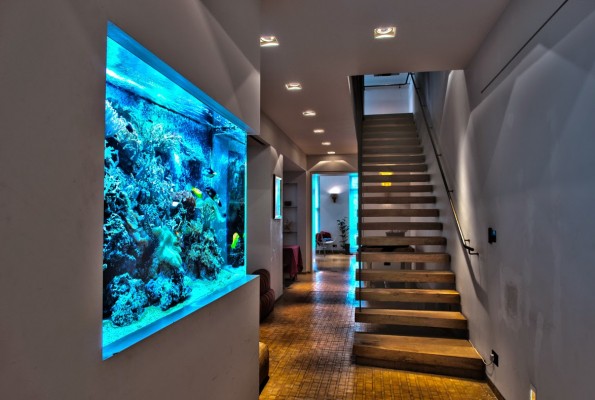 Beautiful Home Aquarium Design Ide