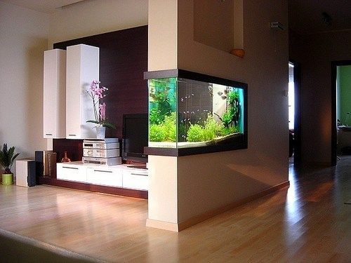 14 Diy Aquarium Ideas For Aquarists | Wall aquarium, House design .