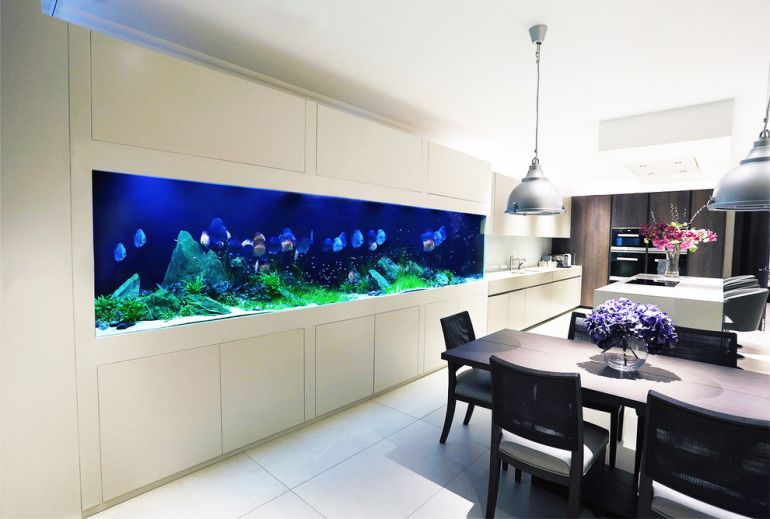 25 Unusual and Amazing Home Aquarium Ideas | Housubli