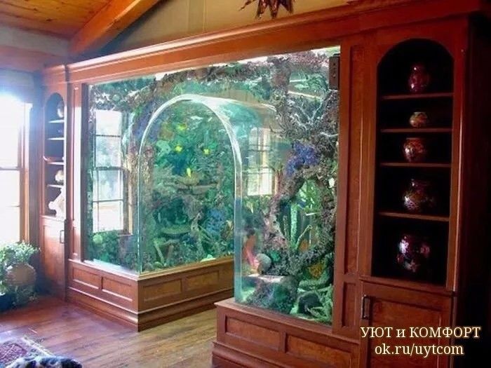 Home Aquarium Ideas: The Aquarium Buyers Guide (52) Одноклассники .