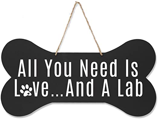 Amazon.com: LifeSong Milestones Lab Pet Quote Dog Bone Wall .
