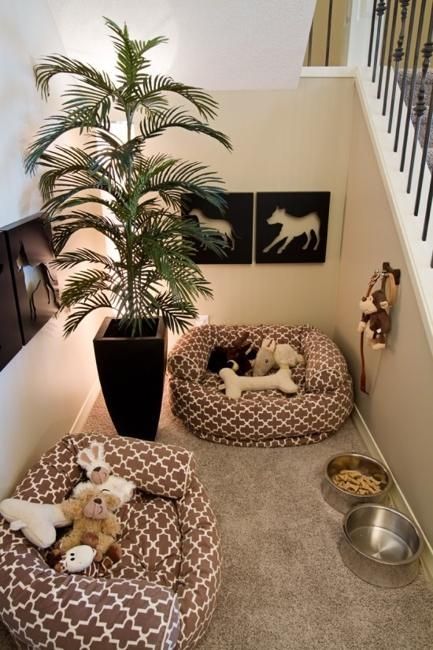25 Modern Design Ideas for Pet Beds that Dogs and Owners Want .
