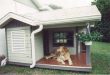 30 Dog House Decoration Ideas, Bright Accents for Backyard Designs .