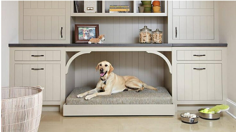 Home Remodeling For Pet Owners - 5 Ideas To Change Their (And Your .