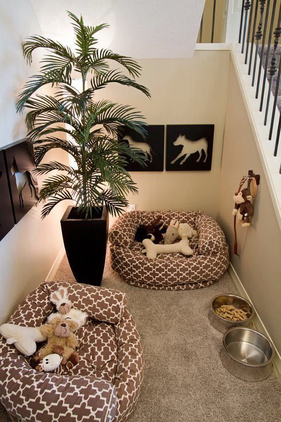 Pet Friendly Homes: Best House Designs for Dogs, Cats & More | Pet .