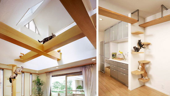 Unbelievable Cat-friendly House Design from Japan • hauspanth