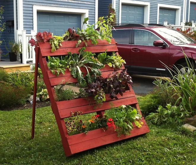 Garden decorating ideas on a budget - Easy DIY projec