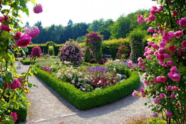 16 Brilliant Ideas To Make Garden Paradise In Your Ya