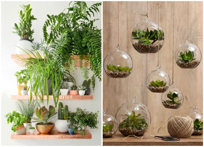 Decorate your home with indoor plants, 5 easy home decor ideas .