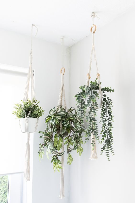 37 Indoor Hanging Plants Ideas To Decorate Your Home | Hanging .
