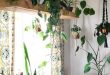 20 Good Ideas to Decorate Your House with Plants | Plant decor .