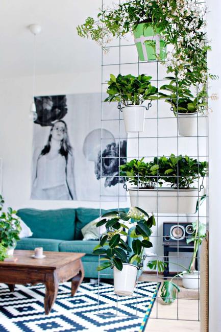 Green Home Decorating with Houseplants, Mini Garden Design Ide