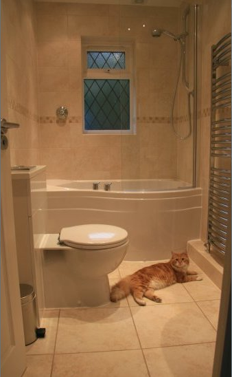 love the jacuzzi tub and shower combo | Corner bathtub shower .