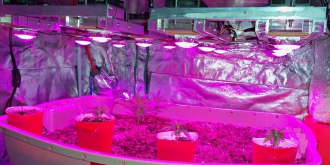 27 DIY Led Grow Lights For Growing Plants Indoors – Home And .