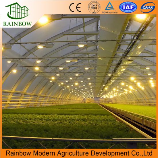 China New Design Full Spectrum LED Grow Light for Agriculture .