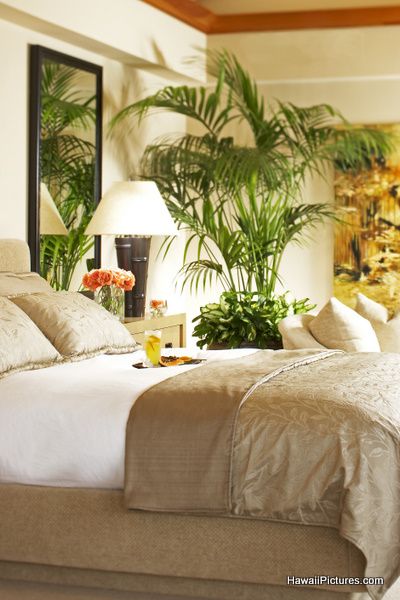 Tropical bedroom - simple, mostly neutrals. since you were married .