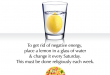 Lemons Drive Away Negative Energy. #VastuTip #SalteeSplendora .