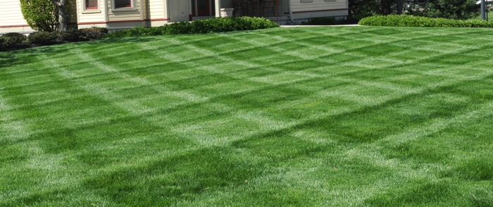 How Fall Mowing Can Make Your Yard Look Better All Wint