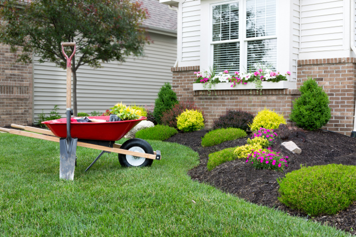 7 Budget-Friendly Landscaping Tips to Make Your Yard Look Amazi